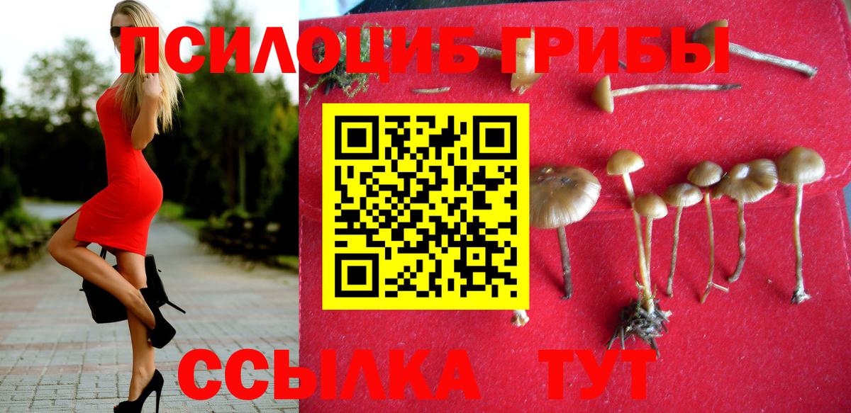 Псилоцибиновые грибы GOLDEN TEACHER  Вход с VPN  Железноводск 